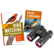Book cover: Birdwatching